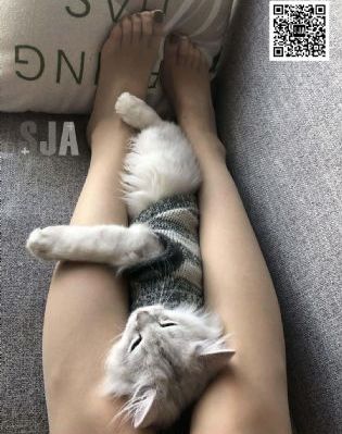 国产一区二区不卡免费观在线_1080韩国电影在线观看