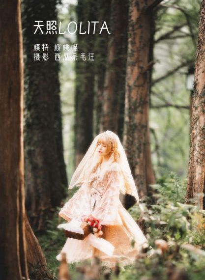 欧美午夜一区_HD在线手机播放